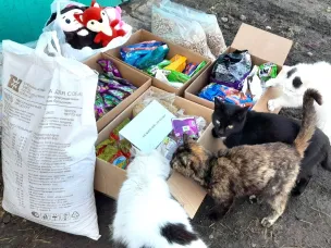 Благотворительная акция «Любовь без породы» в помощь животным